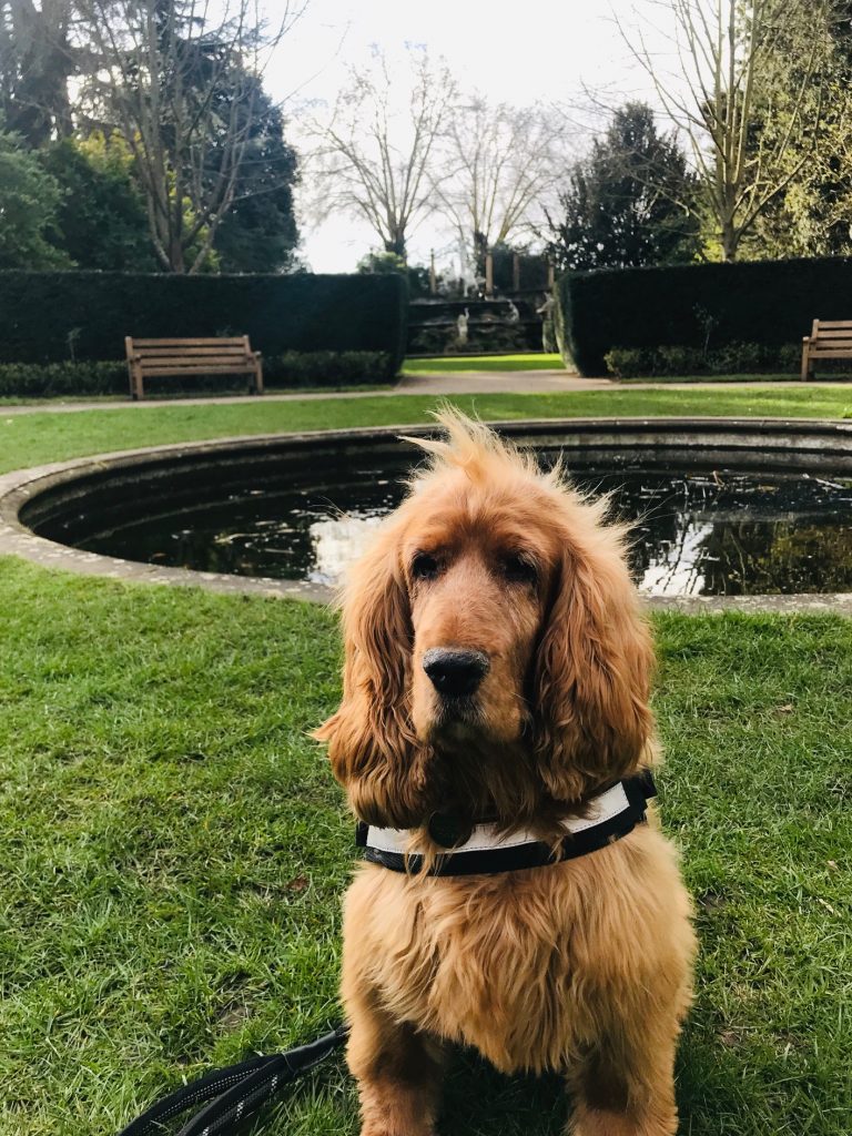 Maxine, owner of Luna (Twickenham)